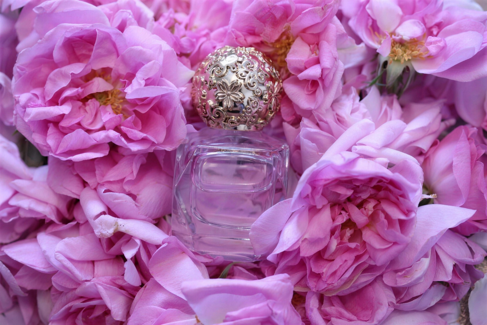 薔薇に包まれた La Flora のアロマパルファン